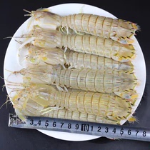 熟冻皮皮虾膏虾肉虾北部湾特产海虾