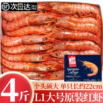 阿根廷大红虾l1超大新鲜冷冻进口海鲜冰川特大红虾水产船冻虾4斤