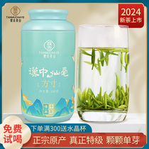 现货陕西汉中仙毫茶叶2024新茶明前特级雀舌春绿茶浓香型毛尖芽茶