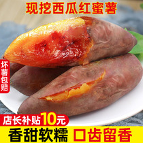 河南西瓜红板栗蜜薯新鲜5-9斤装红薯自种红心地瓜糖心烤番薯蔬菜
