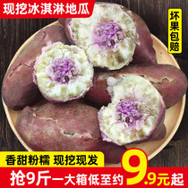 现挖超甜糯冰淇淋地瓜9斤装一点红紫薯新鲜板栗红薯番薯蜜薯山芋