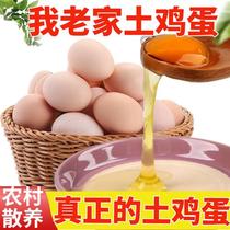 我老家土鸡蛋贵州特产农村真正的农家散养新鲜绿壳初生本地草鸡蛋