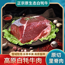 【省内包邮】甘肃天祝白牦牛肉新鲜里脊肉2/5斤现宰现杀原切牛肉