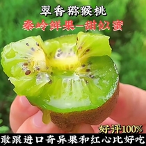 活动翠香猕猴桃蜂蜜甜陕西周至秦岭山当季水果绿心奇