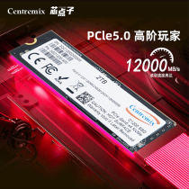 芯点子m2固态硬盘1t笔记本nvme PCIe5.0台式2t电脑4t ps5游戏SSD
