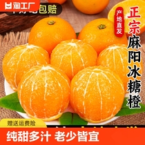 正宗湖南麻阳冰糖橙新鲜水果当季整箱橙子年货果冻甜橙9直发入口