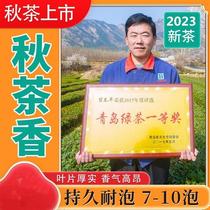 青岛正宗崂山绿茶2023新茶秋茶豆香浓耐泡秋茶炒青500g
