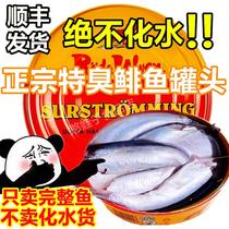 【超级臭】鲱鱼罐头特臭巨恶搞臭鱼正品网红主播同款非瑞典进口