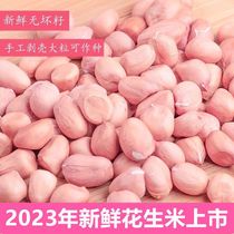 2023年新货正阳花生米生新鲜精选白沙花生果仁农家自种5斤袋装
