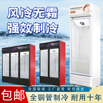 冷藏饮料展示柜商用冰柜保鲜双开门冷饮冷柜单门啤酒超市冰箱立式