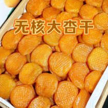 红杏干500g散装酸甜金杏杏条无核肉脯果脯蜜饯休闲小零食新疆风味