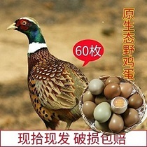 30～60枚七彩山鸡蛋杂粮散养零添加鸡蛋新鲜土鸡蛋农家草鸡蛋包邮