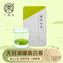 六雨绿茶2024新茶天目湖白茶特级罐装茶叶 溧阳特产明前春茶120g