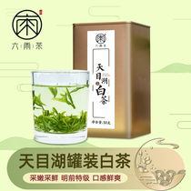 六雨绿茶2024新茶天目湖白茶特级罐装茶叶 溧阳特产明前嫩芽春茶