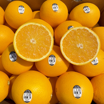 2024美国进口黑标3107脐橙子5斤新鲜当季水果大果甜橙奇士橙包邮