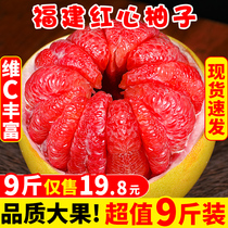 福建红心蜜柚10斤新鲜水果应当季大红肉柚子三红密柚琯溪孕妇包邮