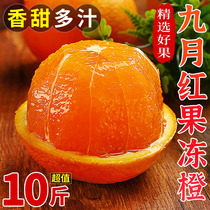 湖北九月红新鲜橙子10斤应当季水果整箱大果甜橙秭归脐橙果冻橙