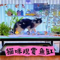 猫咪观赏鱼缸鱼猫猫可以进去的猫进猫可以钻的猫可钻观景玻璃猫鱼