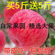 当季新鲜水果甘肃特产苹果静宁红富士糖心脆甜农家自产10斤包邮