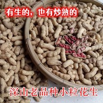 新红皮花生老品种深山农家肥种植不打药自然晒干炒熟红米孕妇花生