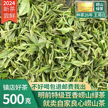 崂山绿茶2024新茶春茶明前豌豆香500g特级散装礼盒装青岛高山绿茶