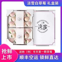 【顺丰空运】淡雪奶油白草莓新鲜水果礼盒节日生日礼物非丹东99