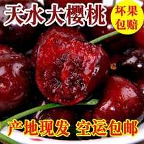 【顺丰到家】甘肃天水大樱桃 自然成熟5斤装 真的很好吃~