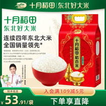 2023年新米 十月稻田稻香米5kg东北大米粳米香米10斤装软糯香甜