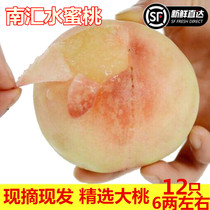 正宗上海南汇水蜜桃大团桃子现摘现发应季孕妇时令软桃优阳山顺丰