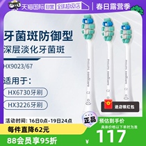 【自营】飞利浦牙龈护理电动牙刷头HX9023替换装适配HX6730/6853