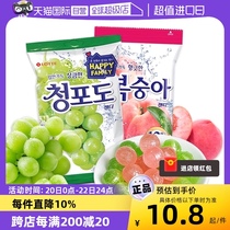 【自营】韩国进口乐天青葡萄水果味青提硬糖果lotte儿童婚庆喜糖