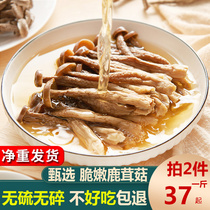 新鲜鹿茸菇干货非特级鹿茸菌云南特产煲汤脆姑蘑菇香菇40元500g