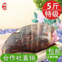 金坛正宗建昌红香芋新鲜芋艿现挖红芽香芋5斤蔬菜yutou常州特产