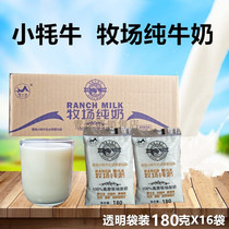青海特产小牦牛纯牛奶青海牛奶高原牧场牛奶 透明袋装180克