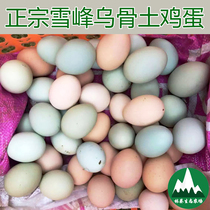 湖南雪峰乌骨土鸡蛋乌鸡蛋绿壳蛋散养新鲜正宗农家土鸡蛋40枚