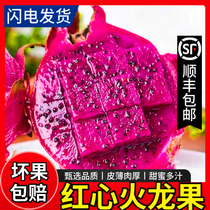 越南红心火龙果5斤新鲜孕妇水果大果商用蛋糕店整箱蜜宝顺丰包邮