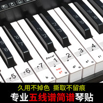 88键61键54键电子琴键盘贴钢琴按键贴纸五线谱简谱音符键位贴数字