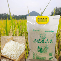 海南东坡生态米儋州北岸黑土种植白香米零添加新鲜大米
