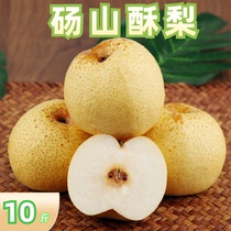 安徽砀山梨新鲜烤梨炖梨商用10斤当季整箱包邮黄冠冰糖甜正宗酥梨