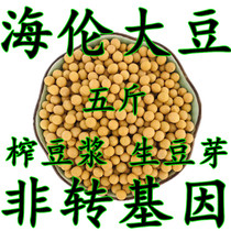 黑龙江海伦大豆特产黄豆自产非转基因大豆黑土地黄豆五斤