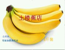 福建天宝香蕉5斤装 正宗现割新鲜香蕉当季水果 banana