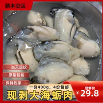 厦门大海蛎肉牡蛎新鲜现剥鲜活海蛎子海蛎煎牡蛎海鲜水产大生蚝肉