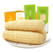 玉米新鲜糯玉米23年天勤粒粒净有机8条粘黏真空装包装袋甜糯玉米