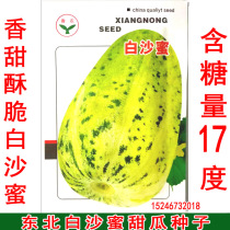 新籽东北甜瓜种子原装 优质白沙蜜大瓜 香瓜种子8克