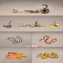 仿真野生爬行动物模型 蟒蛇 眼镜王蛇 珊瑚蛇 玉米蛇认知玩具摆件