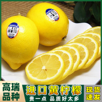 新奇士黄柠檬8个大果美国智利埃及南非进口柠檬皮薄多汁水香味浓