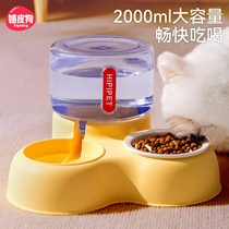 宠物猫咪狗狗饮水喂食器自动续水猫碗狗碗食盆水碗小型幼犬食盆