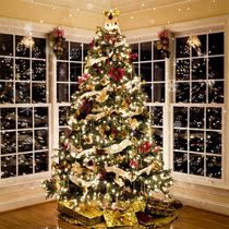 圣诞树家用小型加密豪华大套餐高级感套装发光圣诞节场景布置装饰