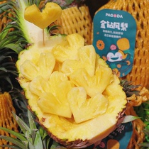 海南金钻凤梨新鲜水果应季5斤香水菠萝甜菠萝树上无眼整箱包邮