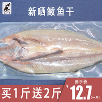 山东青岛咸鲅鱼干整条新鲜腌制真空包装500g大马鲛水产品干货特产